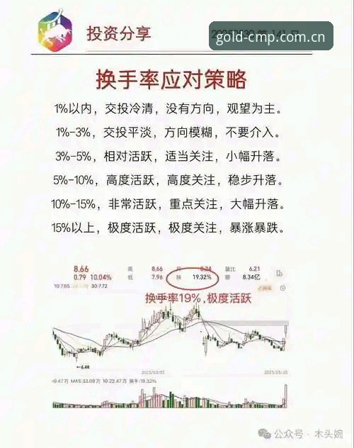 掌握冠军体育赔率查询的7个核心步骤——从新手到高手的实战指南